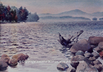 Cranberry Lake