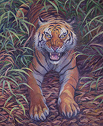 Tiger snarling