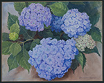 Hydrangeas