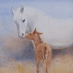 Mare and Foal