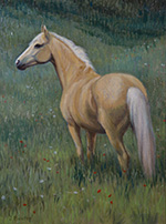 Musette - a Palomino